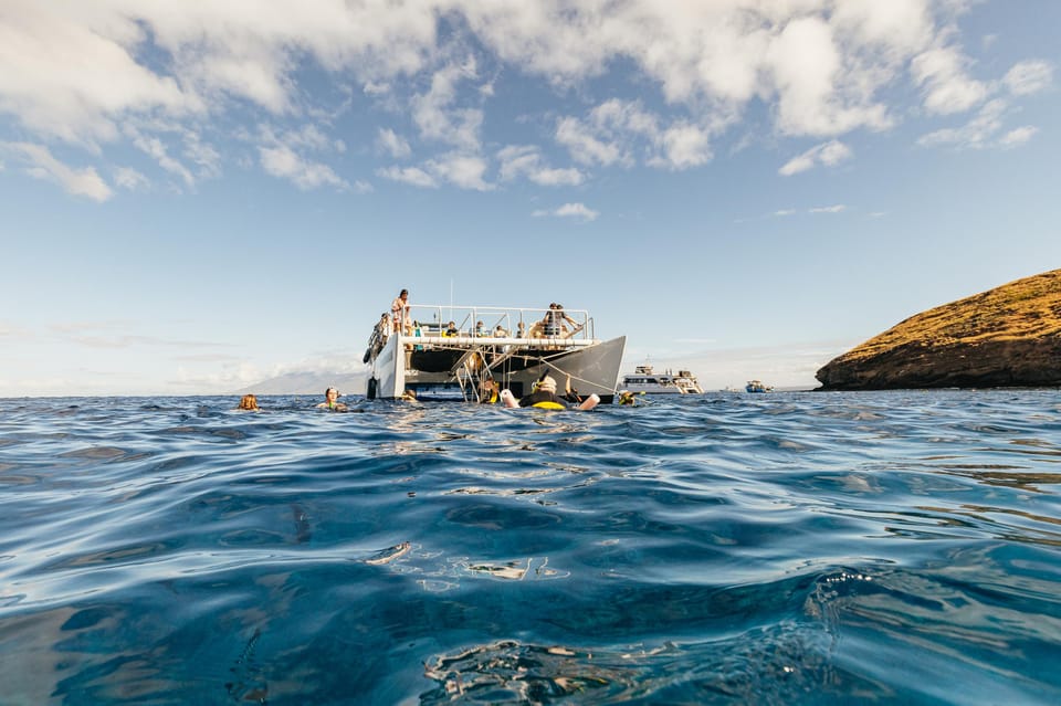 South Maui Molokini and Turtle Town Snorkeling Tour GetYourGuide