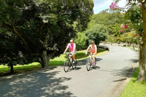 Nara: groupe partagé des points forts de la ville ou visite privée à véloTour à vélo en groupe partagé