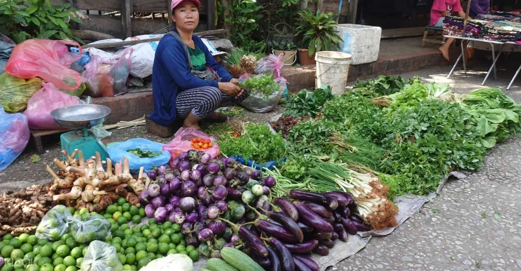 Luang Prabang, Foodie Walking Tour & Monk Blessing - Hizvo