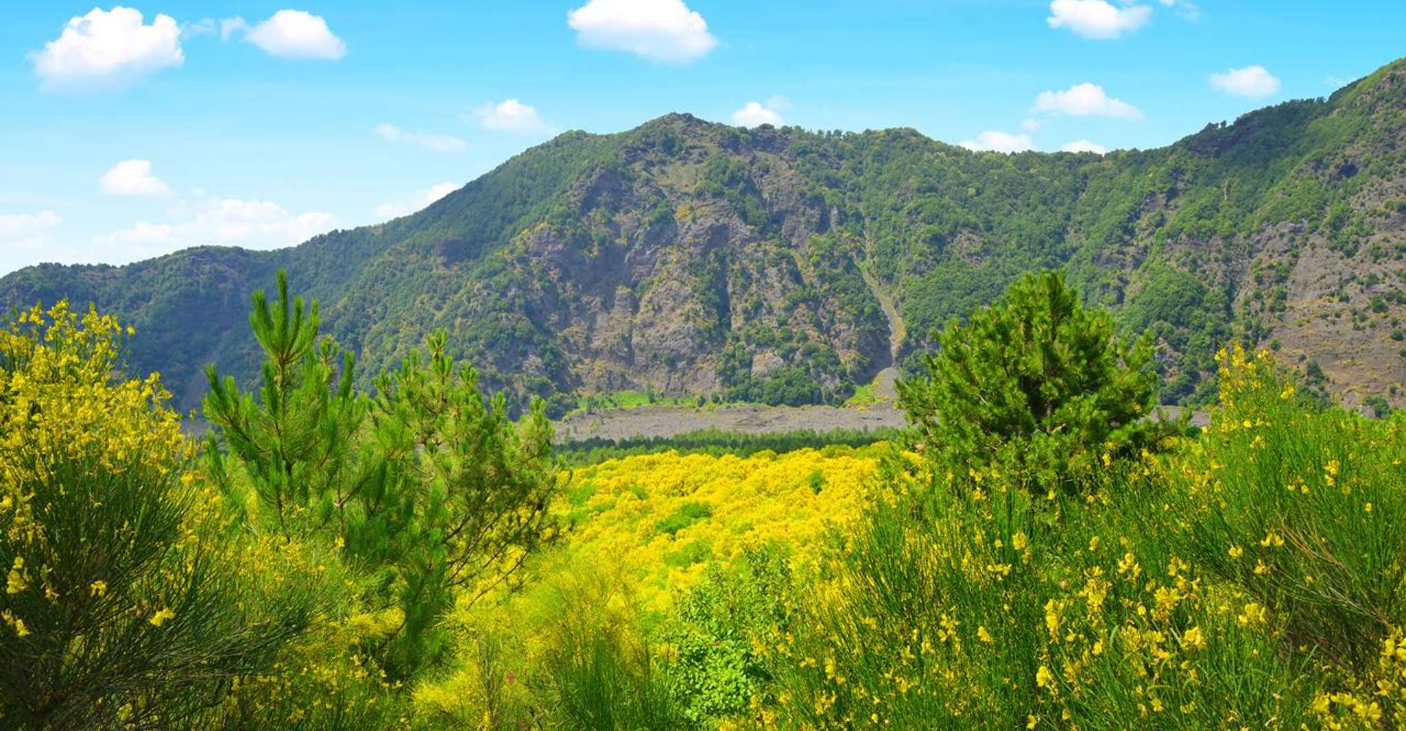 Vesuvio Tour_Transfer+Entrance ticket - Housity