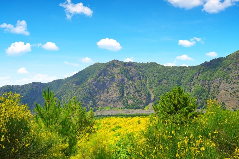 Tour del Vesuvio_Trasferimento+Biglietto d&#039;ingresso