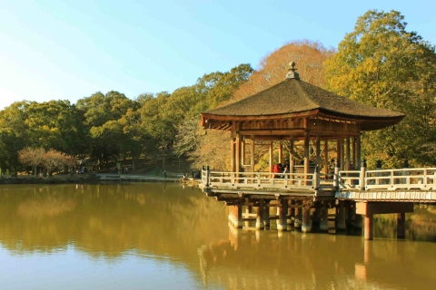 Nara: visite à vélo du temple, de la forêt et de la cascade au cœur de la natureOption Cœur de Nature Standard