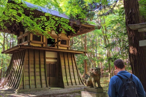 Nara: Świątynia Serca Natury, las i wycieczka rowerowa po wodospadzieStandardowa opcja Serce Natury