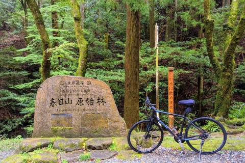 Nara: visite à vélo du temple, de la forêt et de la cascade au cœur de la natureOption Cœur de Nature Standard