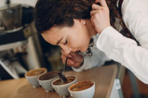 San José: Hacienda La Chimba Coffee Experience Tour