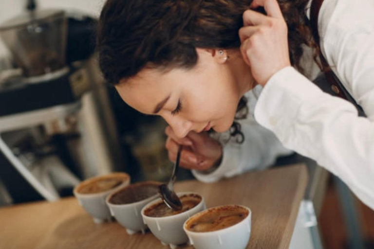 San José: Hacienda La Chimba Coffee Experience Tour