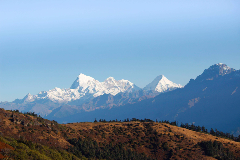 Paro to Phuentsholing Tour- 7 Days Tribhuvan International airport - Meeting Point