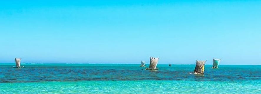 Fra Maputo: Dagstur til Ponta do Ouro