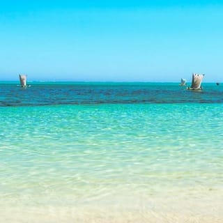 Fra Maputo: Dagstur til Ponta do Ouro