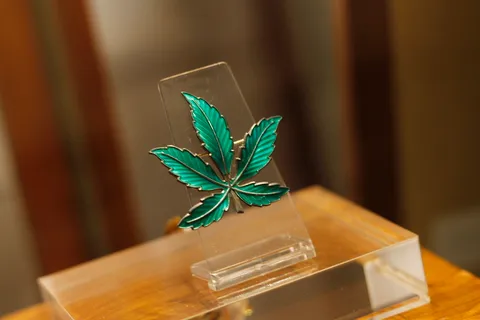 Hash Marihuana e biglietto d'ingresso al Museo della canapa