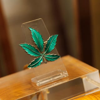 Barcelona: indgangsbillet til Hash Marihuana & Hemp Museum