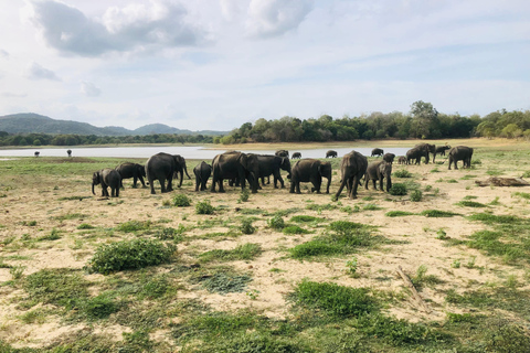 Sigiriya et Dambulla visite privée d&#039;une jounéeCircuit au départ de la région de Negombo