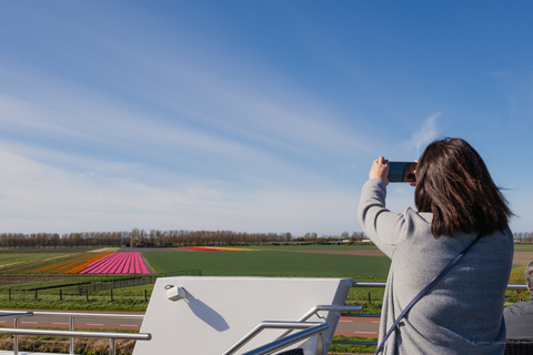 Amsterdam: Tour zu den Keukenhof Gärten mit Windmühlenkreuzfahrt