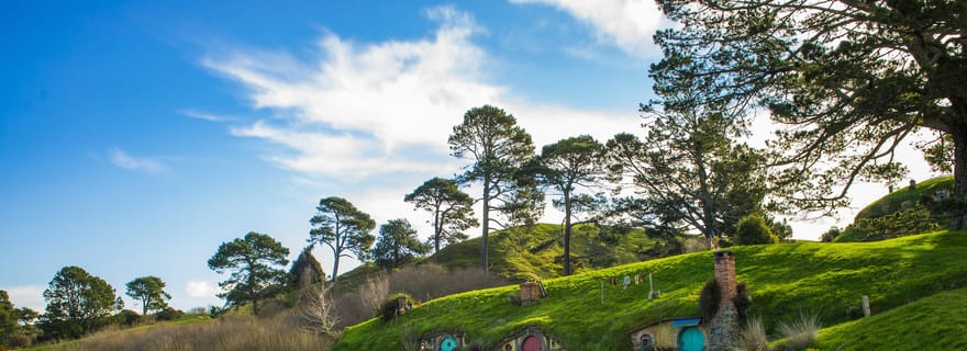 Au départ d'Auckland : Excursion d'une journée complète en petit groupe sur le plateau de tournage de Hobbiton