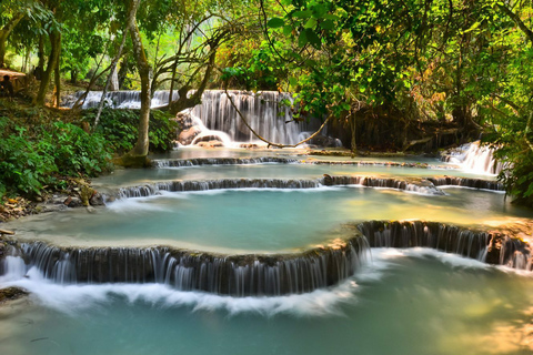 Luang Prabang: Bamboo Experience &amp; Kuang Si Falls TourBambuvävning och matlagningskurs med privat tur till Kuang Si Falls