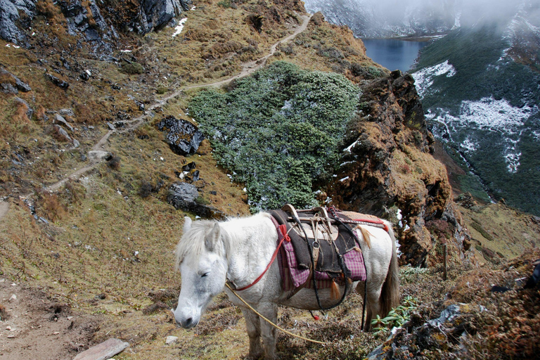 Bhutan Tour with 4 Days Druk Path Trek-7 Days Tribhuvan International Airport - Meeting Point