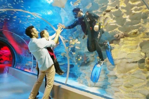Istanbul : aquarium et centre commercial Aqua Florya
