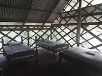 Since Leticia, old-growth forest trek n boat 3 days/2 nights - Housity