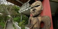 Waitakere Ranges Wilderness Experience Tour da Auckland - Hizvo