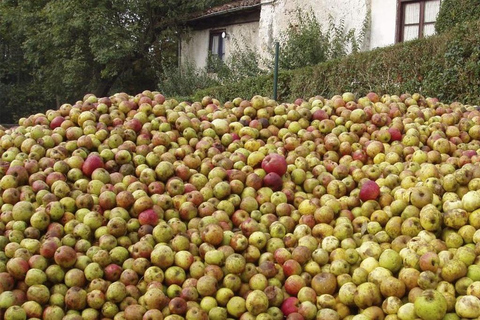 Traditional Cider House Tour | Gartziategi, San Sebastián