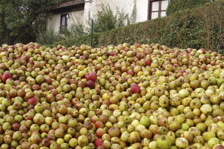 Traditional Cider House Tour | Gartziategi, San Sebastián