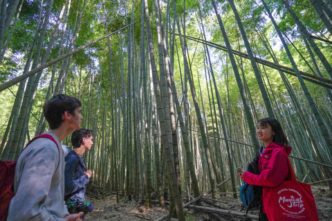 Kyoto: Excursão de caminhada escondida de 3 horas no Santuário Fushimi Inari