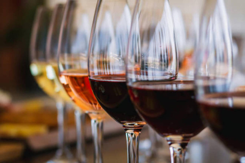 Baku Wine Tasting with Local Guide 4 Wine Tasting Experience with Cheese, Olives & Fruits