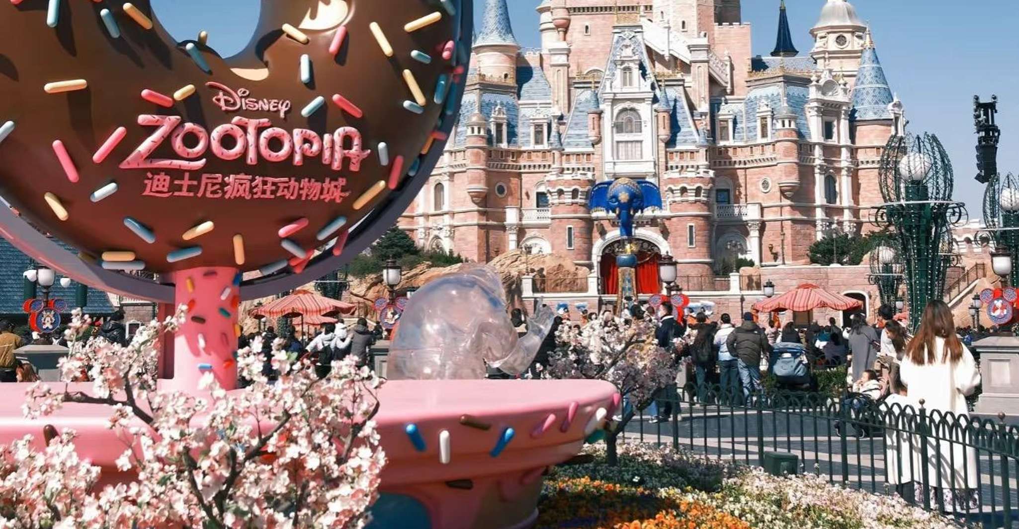 Shanghai: Disneyland Private Group Day Trip