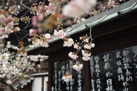 Von Tokio aus: Privater historischer Tagesausflug nach Kawagoe