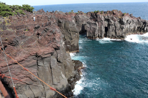 Tokyo to Izu: Kawazu Sakura Day Trip with Train & Pickup 7:00 Pick & Drop from Hotel/BnB (min 2 people)