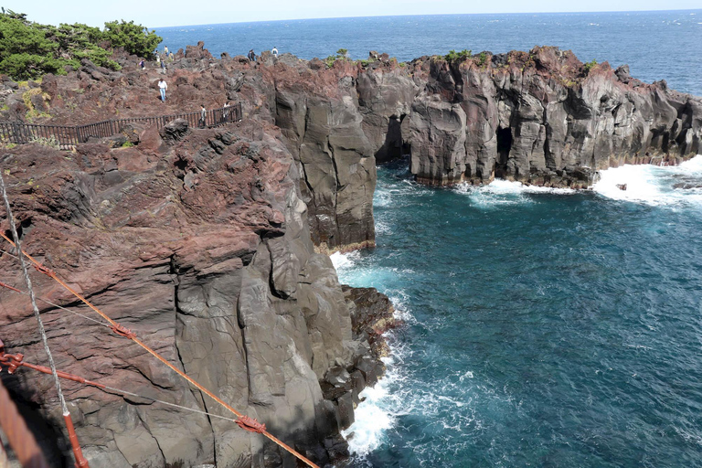 Tokyo to Izu: Kawazu Sakura Day Trip with Train & Pickup 7:00 Pick & Drop from Hotel/BnB (min 2 people)