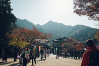 Hiroshima, Tour privato di mezza giornata a Miyajima - Hizvo
