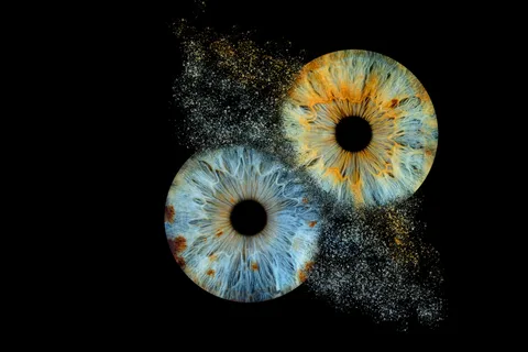 Avignon: Reveal the beauty of your iris with Iris Galerie