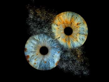 Deauville: Reveal the beauty of your iris with Iris Galerie
