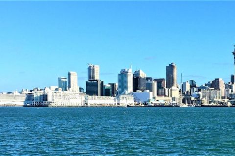 Auckland : visite guidée à pied d'une demi-journée