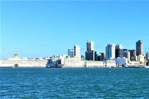 Auckland: excursão guiada a pé de meio dia