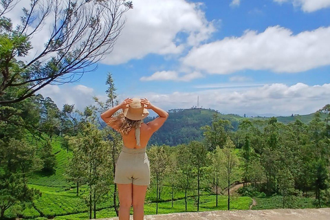 ELLA Lipton Seat Tea Test & Pluck 9Arch, Waterfalls, & Food Lipton's Seat, Little Adam Peak, 9 Arch, Ravana Waterfalls
