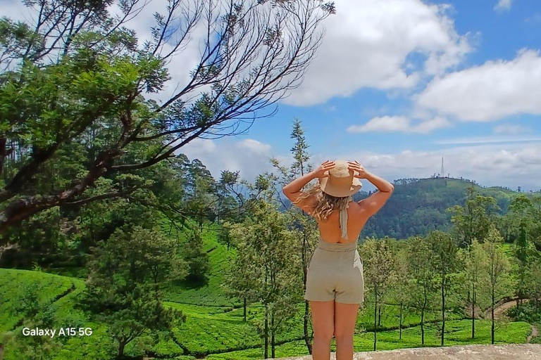 ELLA Lipton Seat Tea Test & Pluck 9Arch, Waterfalls, & Food Lipton's Seat, Little Adam Peak, 9 Arch, Ravana Waterfalls