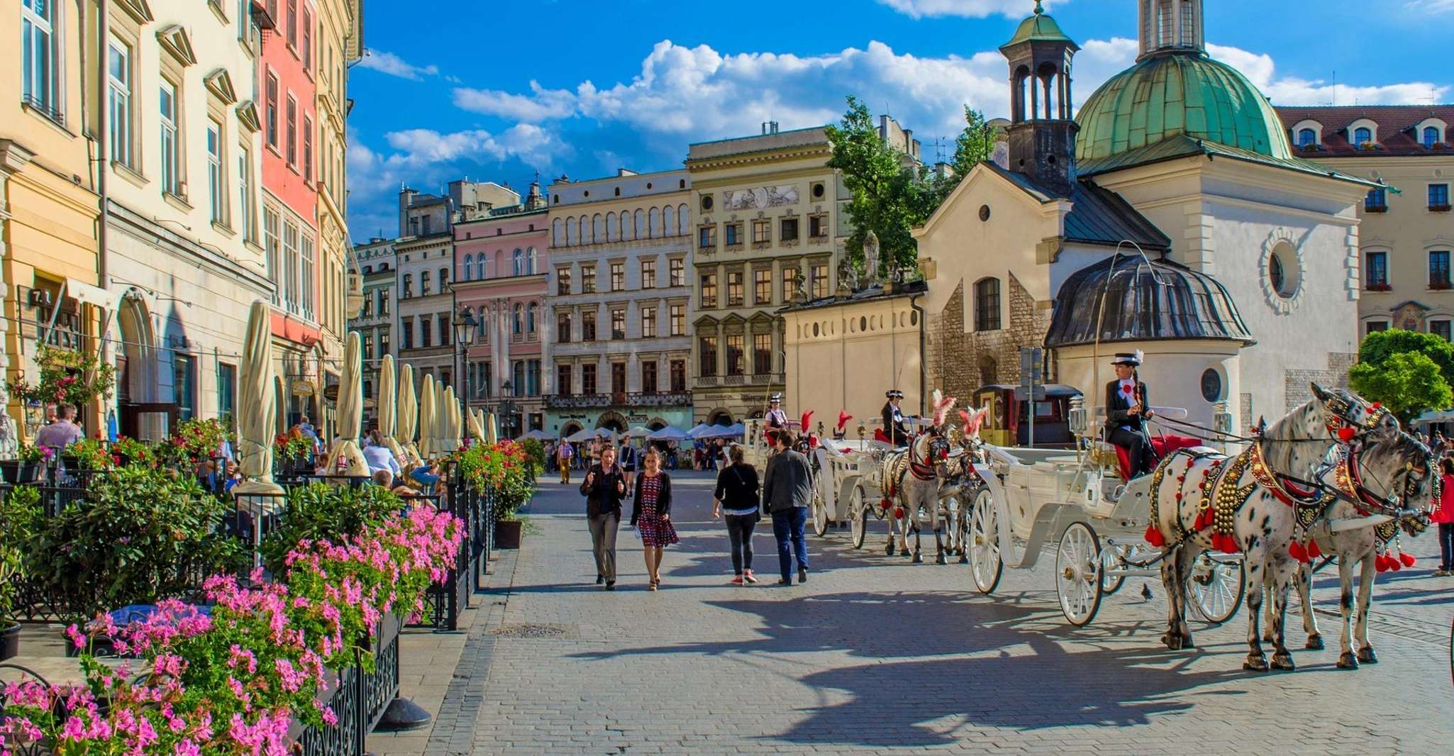 Krakau Highlights Private Tour ab Kattowitz mit Transport - Hizvo
