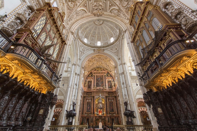 Cordoba: tour Mezquita, synagoge en Judería met ticketsGedeelde avondtour in het Spaans