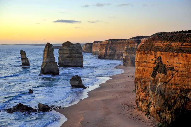 Desde Melbourne: Great Ocean Road, 12 Apóstoles, Excursión por la Vida Salvaje
