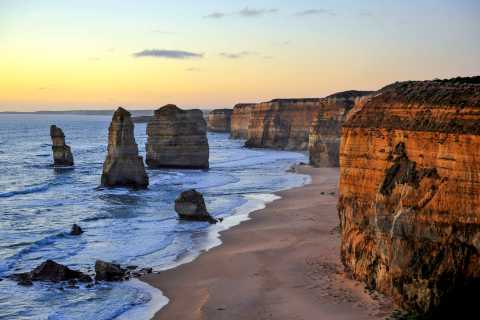From Melbourne: Coastal Highlights, Forest, Wildlife Tour
