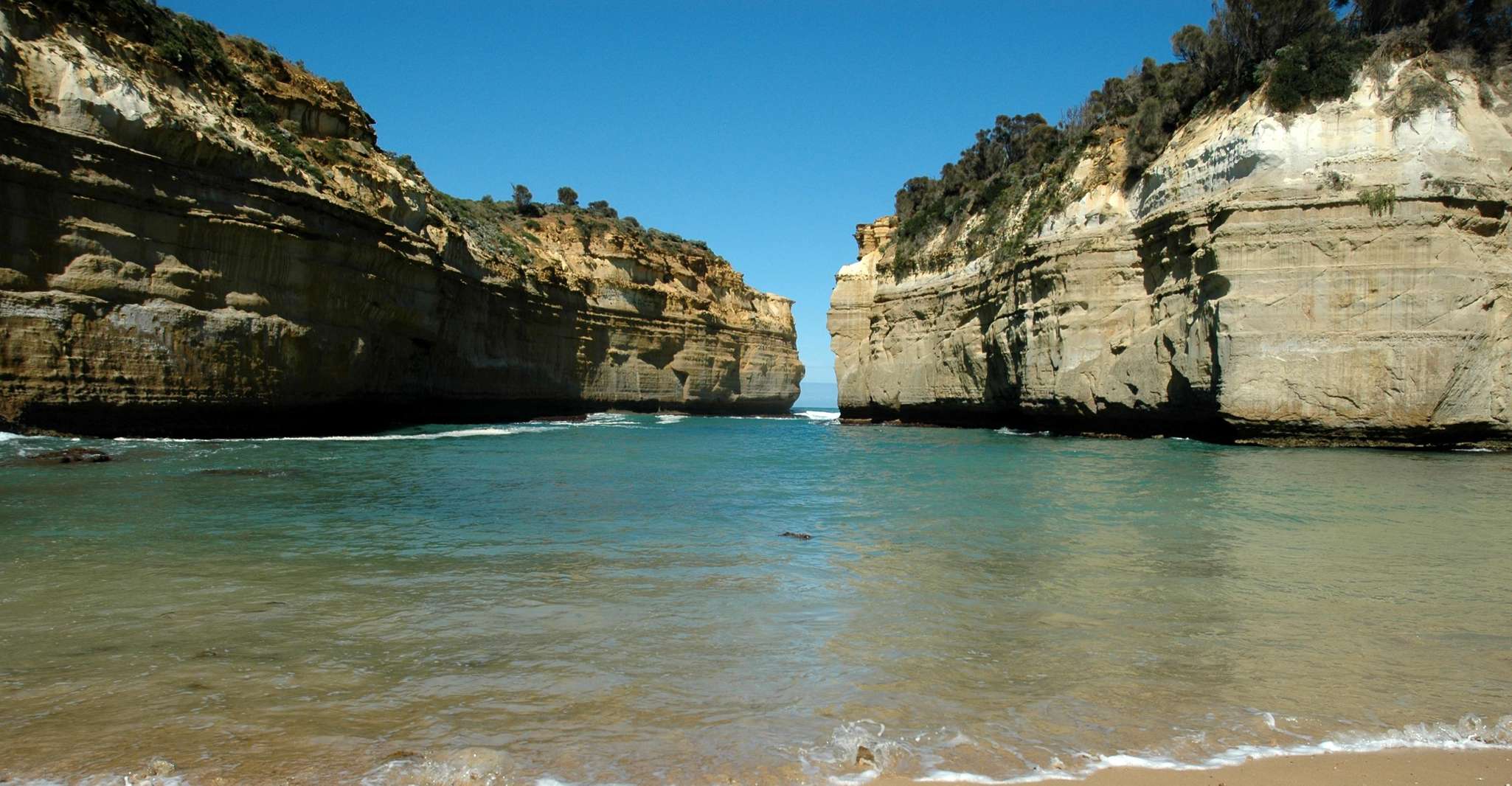 From Melbourne: Great Ocean Road, 12 Apostles, Wildlife Tour photo 7