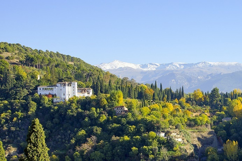 Granada: Alhambra-tur i en Premium-gruppTur på tyska