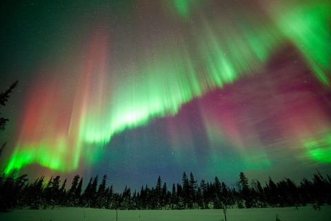 Levi: Private Northern Lights Hunt in a 4x4 SUV