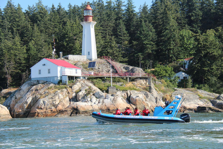 Vancouver: Stadt- und RobbenbootstourKleingruppentour