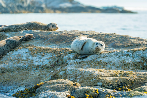 Vancouver: City and Seal Boat TourSmall Group Tour