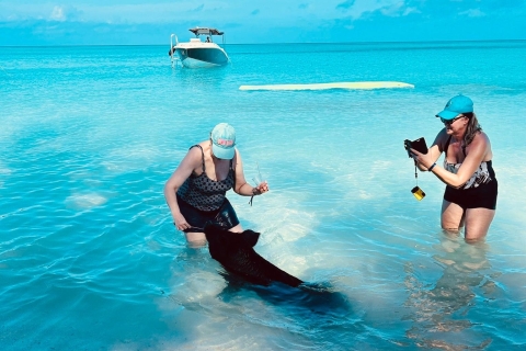 Perfecte dag - Snorkelen in het rif en privéstrandclub
