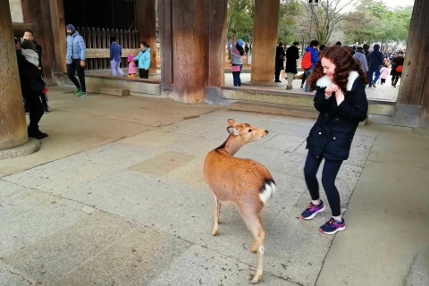 Nara: Nara Park Private Family Bike Tour with Lunch With Western Lunch