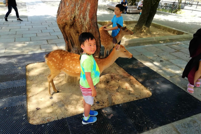 Nara: Nara Park Private Familienradtour mit MittagessenMit japanischem Mittagessen